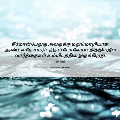 Picture 06 - யோவான் 6:68 TAMIRV - சீமோன்பேதுரு - Bible Verse Picture