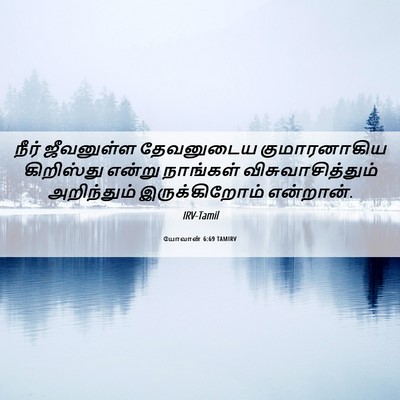 Picture 06 - யோவான் 6:69 TAMIRV - நீர் ஜீவனுள்ள - Bible Verse Picture
