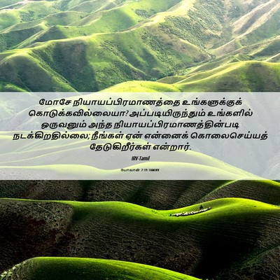 Picture 06 - யோவான் 7:19 TAMIRV - மோசே - Bible Verse Picture