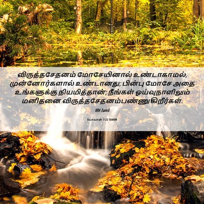 Picture 06 - யோவான் 7:22 TAMIRV - விருத்தசேதனம் - Bible Verse Picture