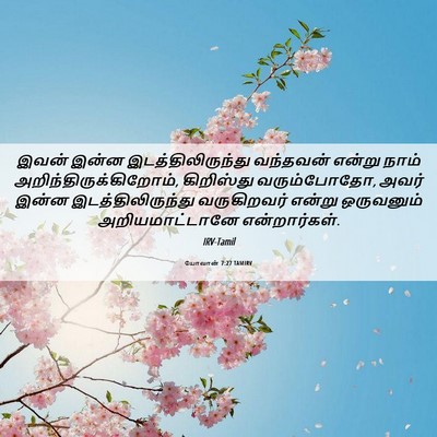 Picture 06 - யோவான் 7:27 TAMIRV - இவன் இன்ன - Bible Verse Picture