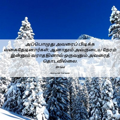 Picture 06 - யோவான் 7:30 TAMIRV - அப்பொழுது அவரைப் - Bible Verse Picture