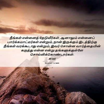 Picture 06 - யோவான் 7:36 TAMIRV - நீங்கள் என்னைத் - Bible Verse Picture