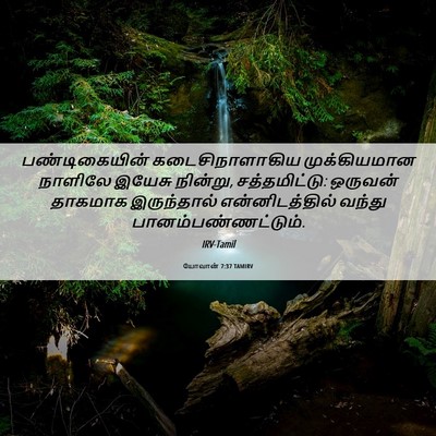 Picture 06 - யோவான் 7:37 TAMIRV - பண்டிகையின் - Bible Verse Picture