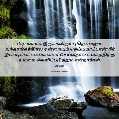Picture 06 - யோவான் 7:4 TAMIRV - பிரபலமாக - Bible Verse Picture