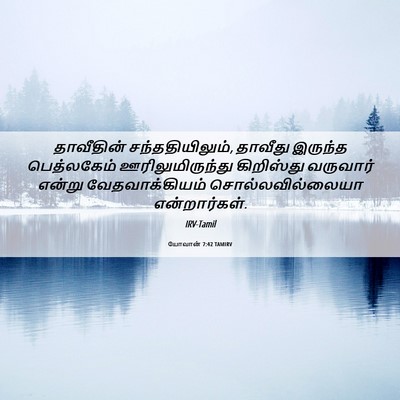 Picture 06 - யோவான் 7:42 TAMIRV - தாவீதின் - Bible Verse Picture