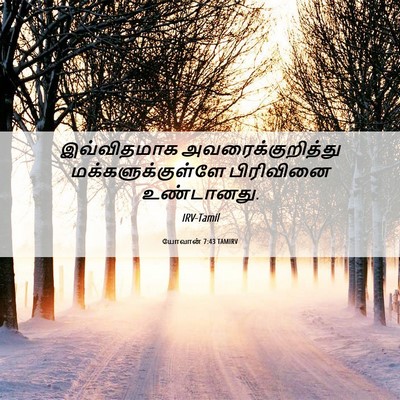 Picture 06 - யோவான் 7:43 TAMIRV - இவ்விதமாக - Bible Verse Picture