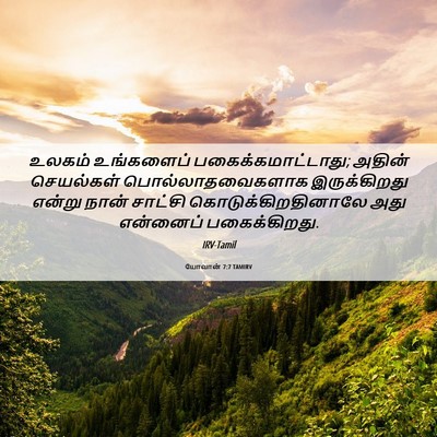 Picture 06 - யோவான் 7:7 TAMIRV - உலகம் உங்களைப் - Bible Verse Picture