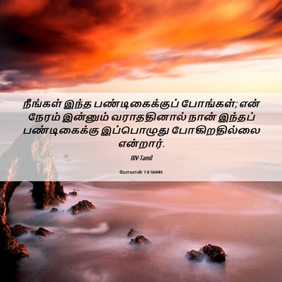 Picture 06 - யோவான் 7:8 TAMIRV - நீங்கள் இந்த - Bible Verse Picture