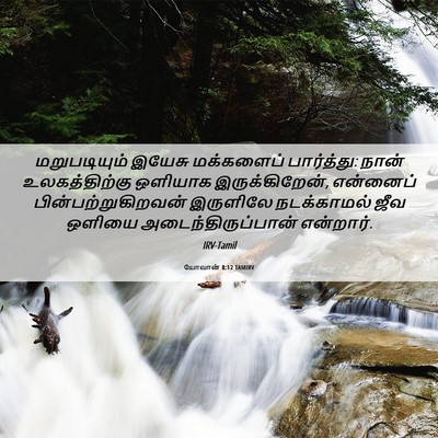 Picture 06 - யோவான் 8:12 TAMIRV - மறுபடியும் இயேசு - Bible Verse Picture