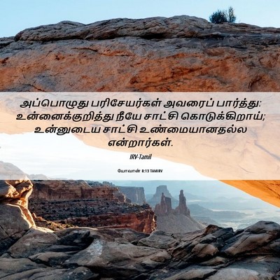 Picture 06 - யோவான் 8:13 TAMIRV - அப்பொழுது - Bible Verse Picture