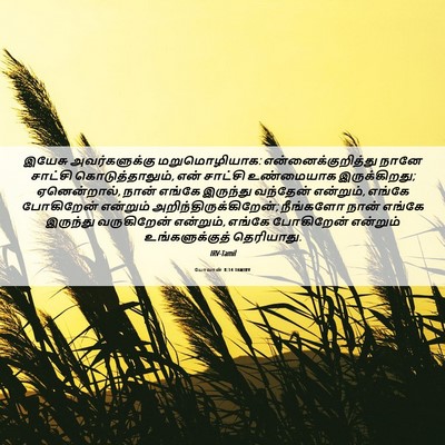 Picture 06 - யோவான் 8:14 TAMIRV - இயேசு அவர்களுக்கு - Bible Verse Picture