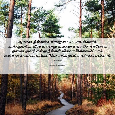 Picture 06 - யோவான் 8:24 TAMIRV - ஆகவே, நீங்கள் - Bible Verse Picture