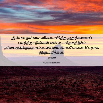 Picture 06 - யோவான் 8:31 TAMIRV - இயேசு தம்மை - Bible Verse Picture