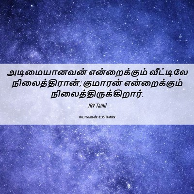 Picture 06 - யோவான் 8:35 TAMIRV - அடிமையானவன் - Bible Verse Picture