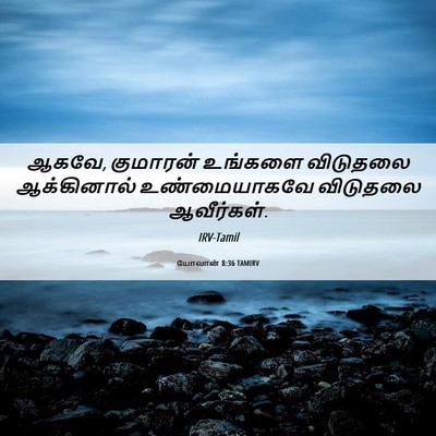 Picture 06 - யோவான் 8:36 TAMIRV - ஆகவே, குமாரன் - Bible Verse Picture
