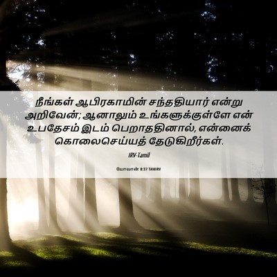 Picture 06 - யோவான் 8:37 TAMIRV - நீங்கள் - Bible Verse Picture
