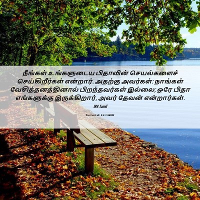 Picture 06 - யோவான் 8:41 TAMIRV - நீங்கள் உங்களுடைய - Bible Verse Picture