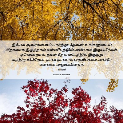 Picture 06 - யோவான் 8:42 TAMIRV - இயேசு அவர்களைப் - Bible Verse Picture