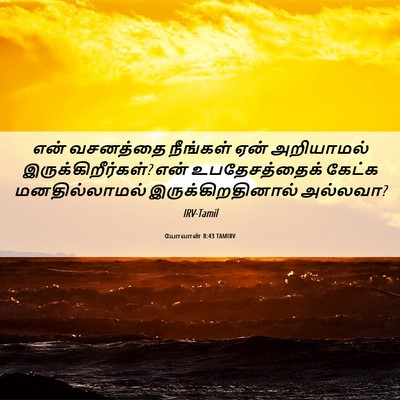 Picture 06 - யோவான் 8:43 TAMIRV - என் வசனத்தை - Bible Verse Picture