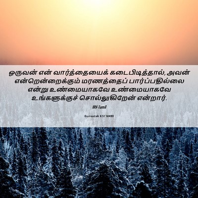 Picture 06 - யோவான் 8:51 TAMIRV - ஒருவன் என் - Bible Verse Picture