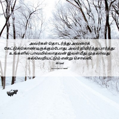 Picture 06 - யோவான் 8:7 TAMIRV - அவர்கள் தொடர்ந்து - Bible Verse Picture