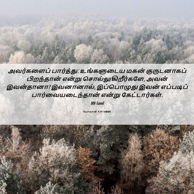 Picture 06 - யோவான் 9:19 TAMIRV - அவர்களைப் - Bible Verse Picture