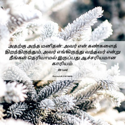 Picture 06 - யோவான் 9:30 TAMIRV - அதற்கு அந்த - Bible Verse Picture