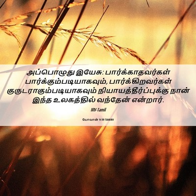 Picture 06 - யோவான் 9:39 TAMIRV - அப்பொழுது இயேசு: - Bible Verse Picture