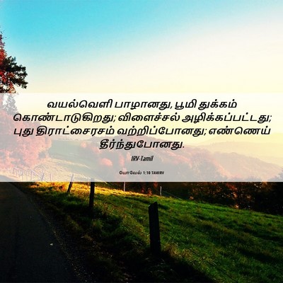 Picture 06 - யோவேல் 1:10 TAMIRV - வயல்வெளி பாழானது, - Bible Verse Picture