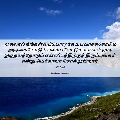 Picture 06 - யோவேல் 2:12 TAMIRV - ஆதலால் நீங்கள் - Bible Verse Picture