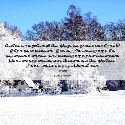 Picture 06 - யோவேல் 2:19 TAMIRV - யெகோவா மறுமொழி - Bible Verse Picture