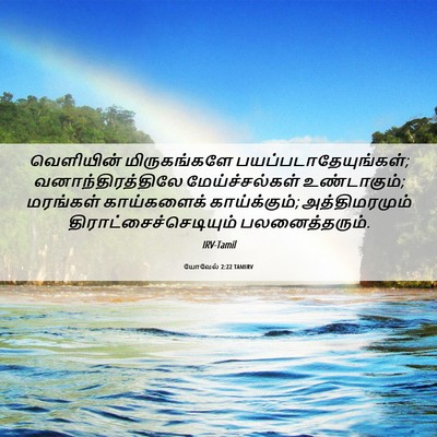 Picture 06 - யோவேல் 2:22 TAMIRV - வெளியின் - Bible Verse Picture