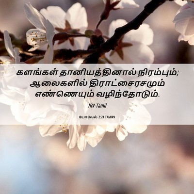 Picture 06 - யோவேல் 2:24 TAMIRV - களங்கள் - Bible Verse Picture