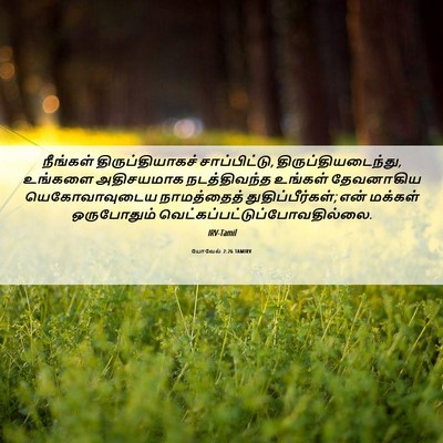 Picture 06 - யோவேல் 2:26 TAMIRV - நீங்கள் - Bible Verse Picture