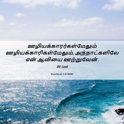Picture 06 - யோவேல் 2:29 TAMIRV -  - Bible Verse Picture