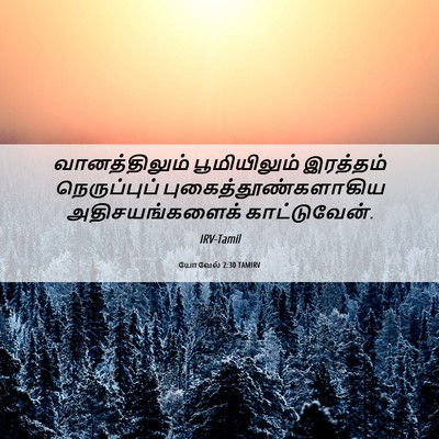 Picture 06 - யோவேல் 2:30 TAMIRV - வானத்திலும் - Bible Verse Picture