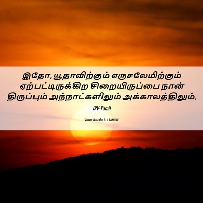 Picture 06 - யோவேல் 3:1 TAMIRV - இதோ, யூதாவிற்கும் - Bible Verse Picture