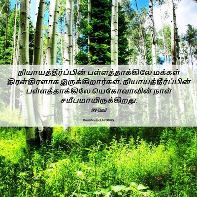 Picture 06 - யோவேல் 3:14 TAMIRV -  - Bible Verse Picture