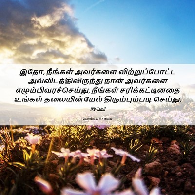 Picture 06 - யோவேல் 3:7 TAMIRV - இதோ, நீங்கள் - Bible Verse Picture