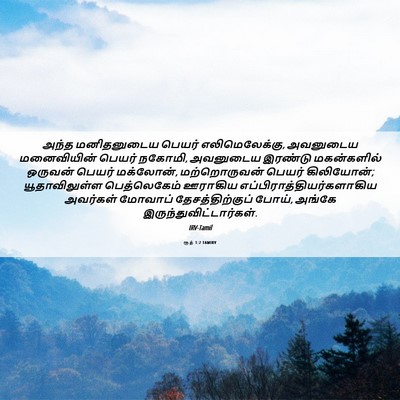 Picture 06 - ரூத் 1:2 TAMIRV - அந்த மனிதனுடைய - Bible Verse Picture