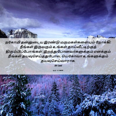 Picture 06 - ரூத் 1:8 TAMIRV - நகோமி தன்னுடைய - Bible Verse Picture