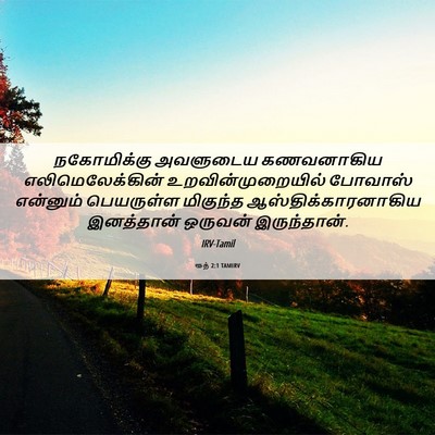 Picture 06 - ரூத் 2:1 TAMIRV - நகோமிக்கு அவளுடைய - Bible Verse Picture
