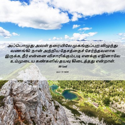 Picture 06 - ரூத் 2:10 TAMIRV - அப்பொழுது அவள் - Bible Verse Picture