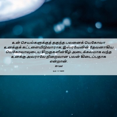 Picture 06 - ரூத் 2:12 TAMIRV - உன் - Bible Verse Picture