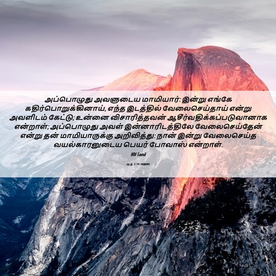 Picture 06 - ரூத் 2:19 TAMIRV - அப்பொழுது அவளுடைய - Bible Verse Picture