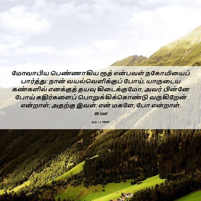 Picture 06 - ரூத் 2:2 TAMIRV - மோவாபிய பெண்ணாகிய - Bible Verse Picture