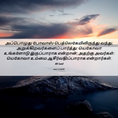 Picture 06 - ரூத் 2:4 TAMIRV - அப்பொழுது போவாஸ் - Bible Verse Picture