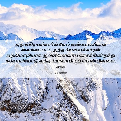 Picture 06 - ரூத் 2:6 TAMIRV -  - Bible Verse Picture