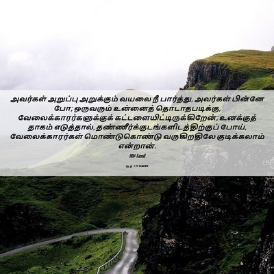 Picture 06 - ரூத் 2:9 TAMIRV - அவர்கள் அறுப்பு - Bible Verse Picture
